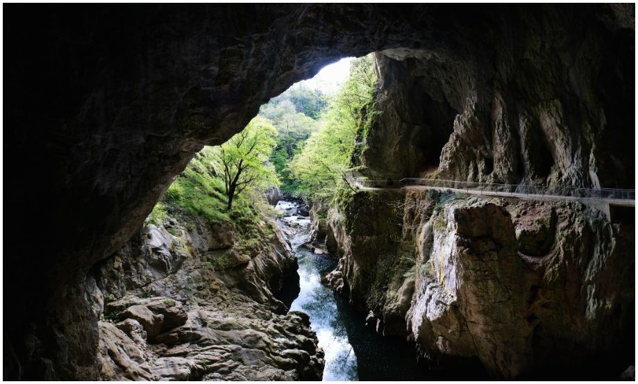 Vista desde el interior de una inmensa cueva oscura hacia la luz de un cañón verde, mostrando el río Reka en el fondo y un sendero tallado en la pared de roca vertical en las Cuevas de Škocjan, Eslovenia.