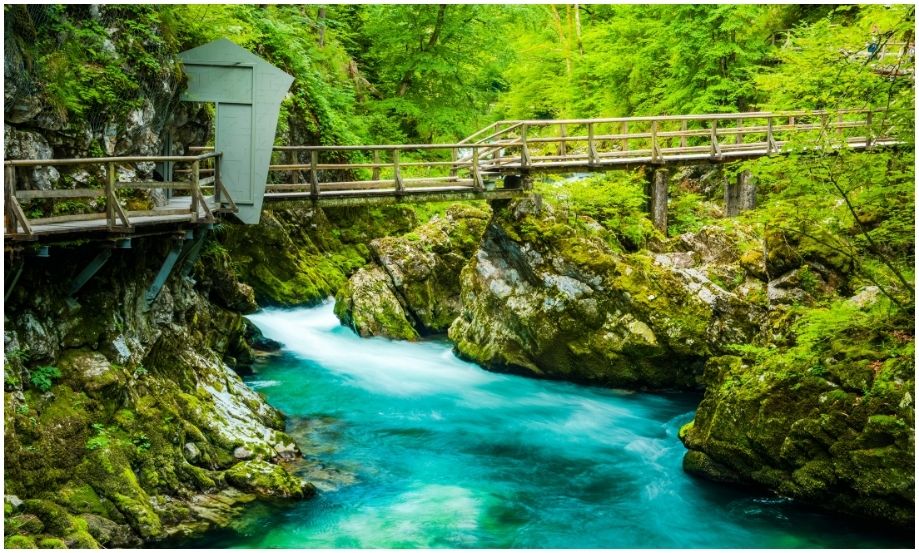 Fotografía de las pasarelas rústicas de madera fijadas a la roca en la Garganta del Vintgar, Eslovenia, cruzando sobre el rápido caudal turquesa del río rodeado de exuberante musgo verde.