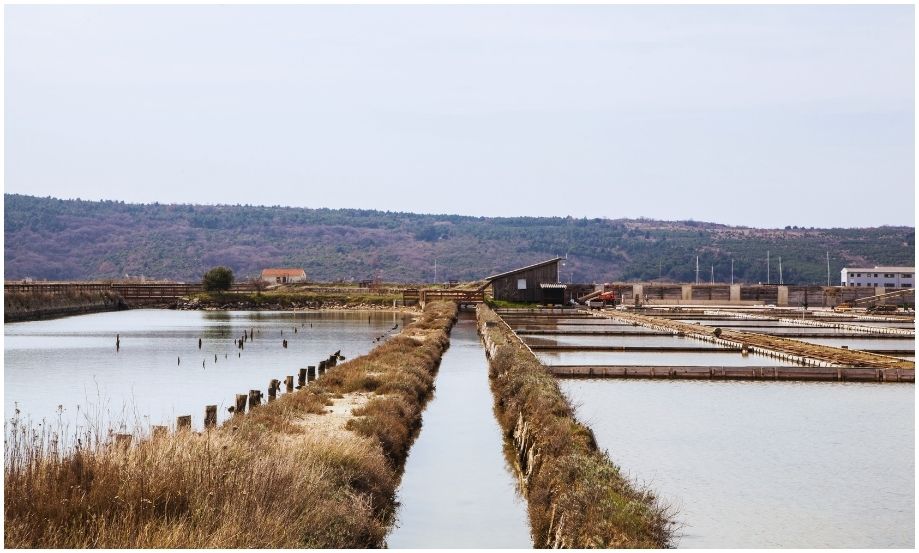 Vista de las tranquilas salinas de Sečovlje en Eslovenia, mostrando canales de agua estrechos que separan piscinas rectangulares, caminos de tierra seca y una antigua cabaña de madera con colinas al fondo.