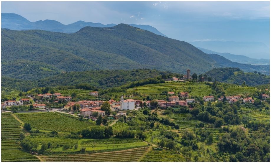 Vista panorámica de un pueblo tradicional esloveno con tejados rojos y una iglesia en una colina de Goriška Brda, rodeado de interminables viñedos en terraza y montañas verdes bajo un cielo azul parcial.